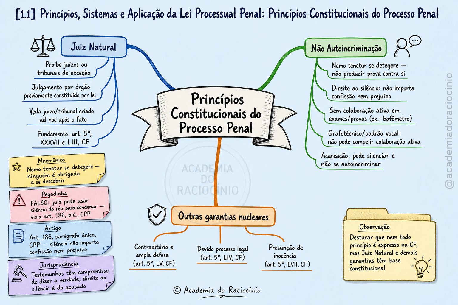 [1.1] Princípios, Sistemas e Aplicação da Lei Processual Penal: Princípios Constitucionais do Processo Penal